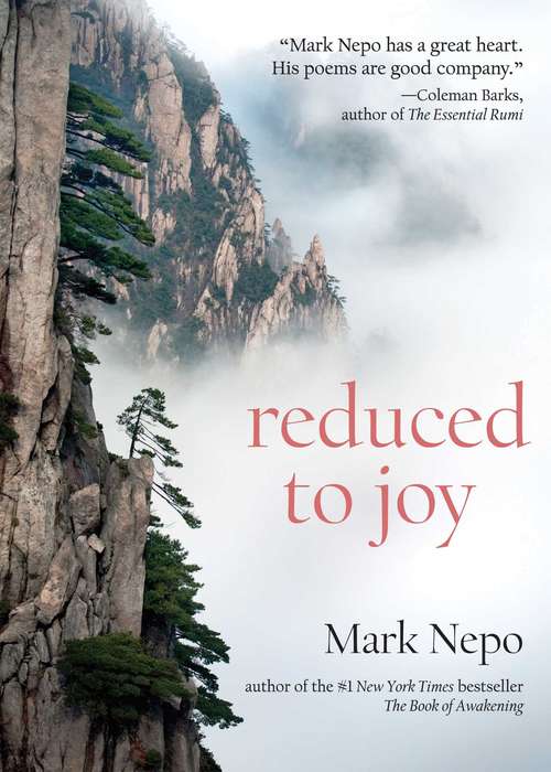 Book cover of Reduced to Joy