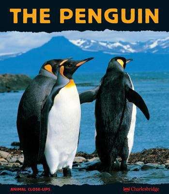 Book cover of The Penguin (Animal Close-Ups)