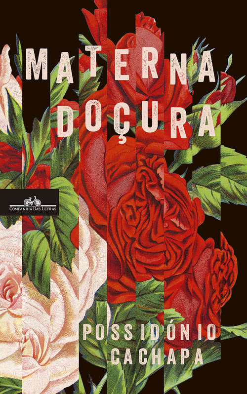 Book cover of Materna Doçura