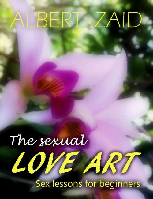 The Sexual Love Art: Sex lessons for beginners