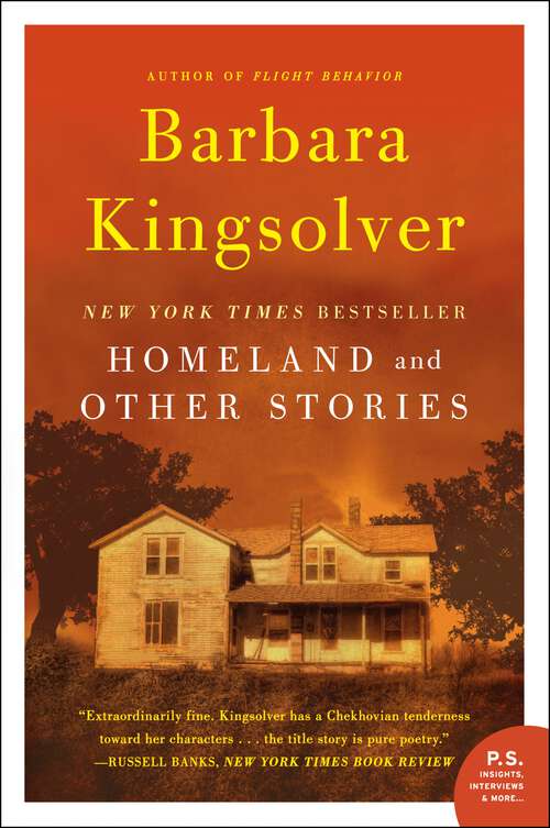 Book cover of Homeland and Other Stories (Faber "threebies" Ser.)