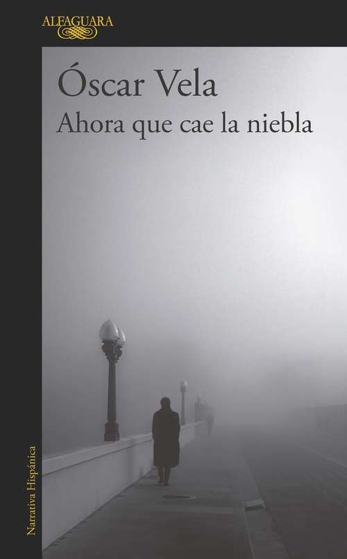 Book cover of Ahora que cae la niebla