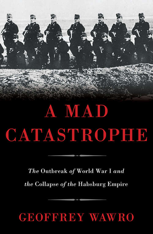 Book cover of A Mad Catastrophe