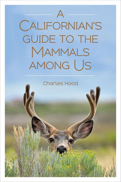 Book cover of A Californian’s Guide to the Mammals among Us