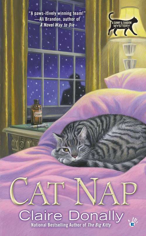 Book cover of Cat Nap