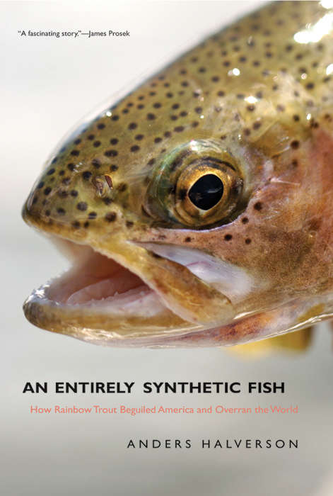 Book cover of An Entirely Synthetic Fish