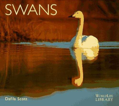 Book cover of Swans (WorldLife Library)