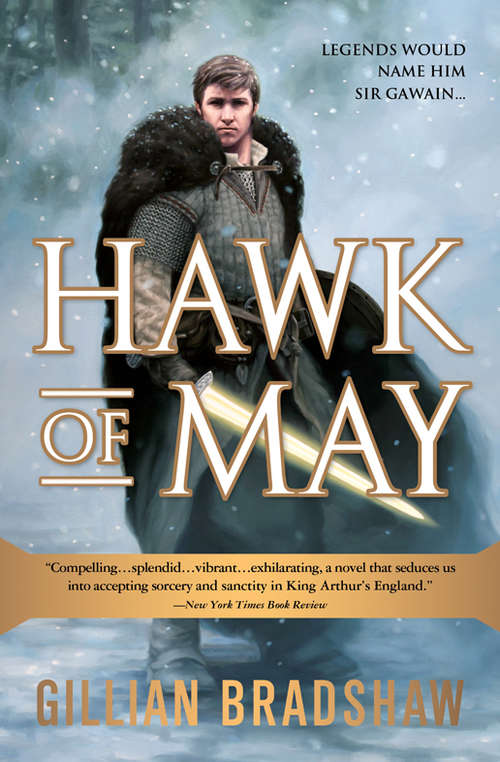 Book cover of Hawk of May (Down the Long Wind #1)