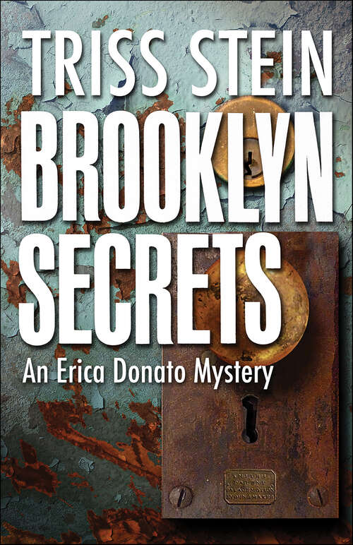 Book cover of Brooklyn Secrets: An Erica Donato Mystery