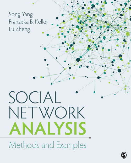 Social Network Analysis: Methods and Examples (Quantitative Applications In The Social Sciences Ser. #154)