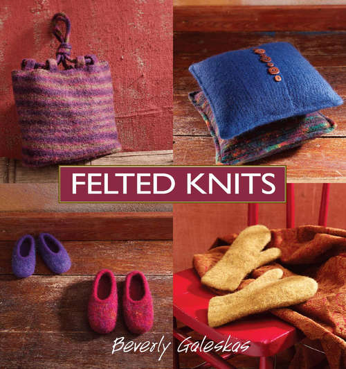 Book cover of Felted Knits
