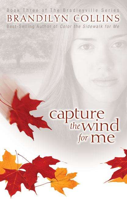 Book cover of Capture the Wind for Me (Bradleyville Series Book #3)