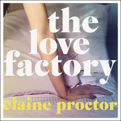 Book cover of The Love Factory: The sexiest romantic comedy you'll read this year