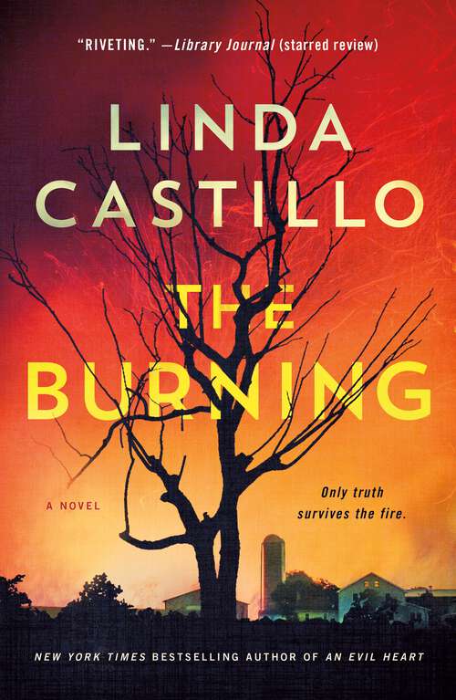 Book cover of The Burning: A Novel (Kate Burkholder #16)