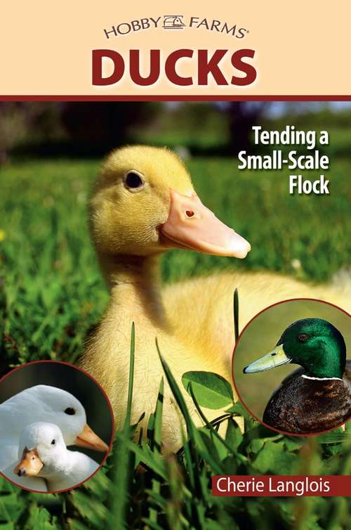 Book cover of Ducks