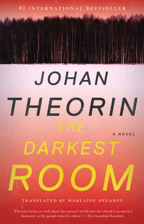 Book cover of The Darkest Room