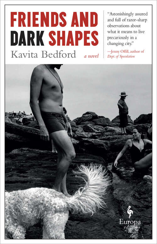 Book cover of Friends and Dark Shapes: A Novel