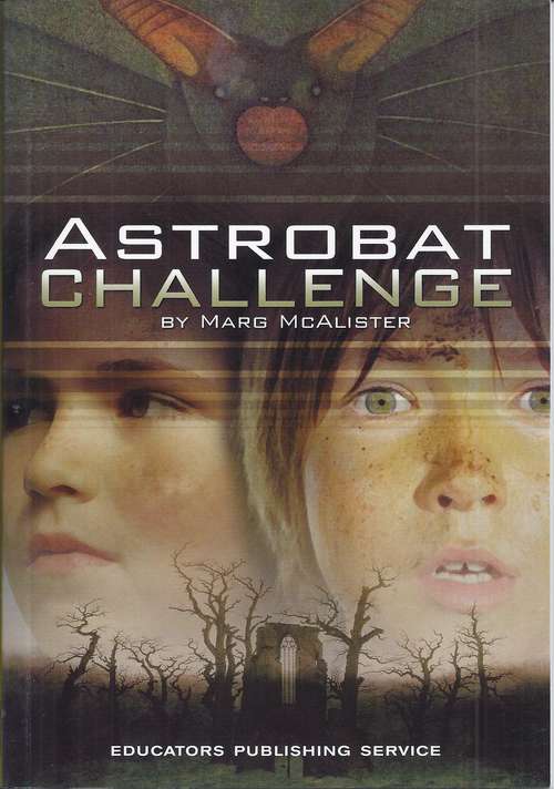 Book cover of Astrobat Challenge