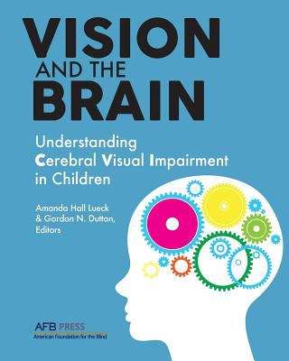 Book cover of Vision And The Brain: Understanding Cerebral Visual Impairment In Children