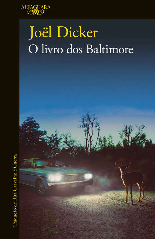Book cover of O livro dos Baltimore