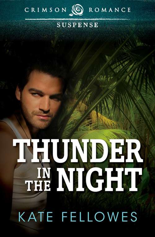 Book cover of Thunder in the Night