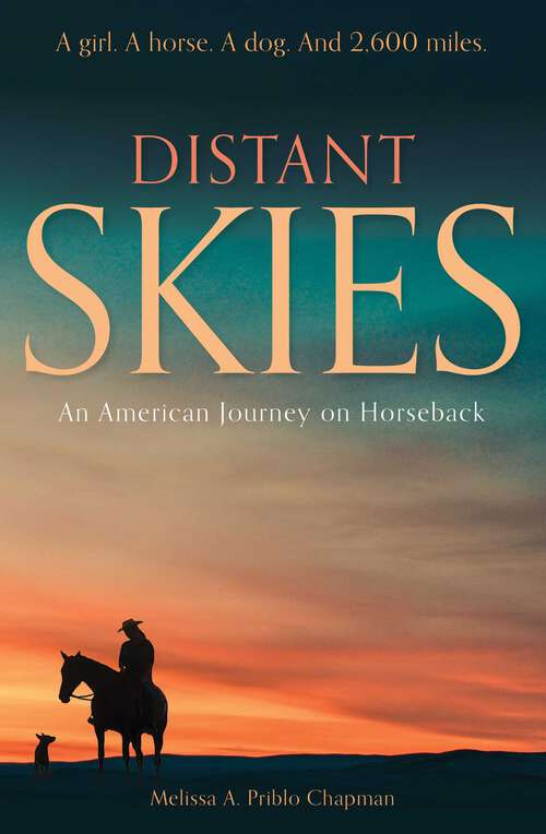 Book cover of Distant Skies