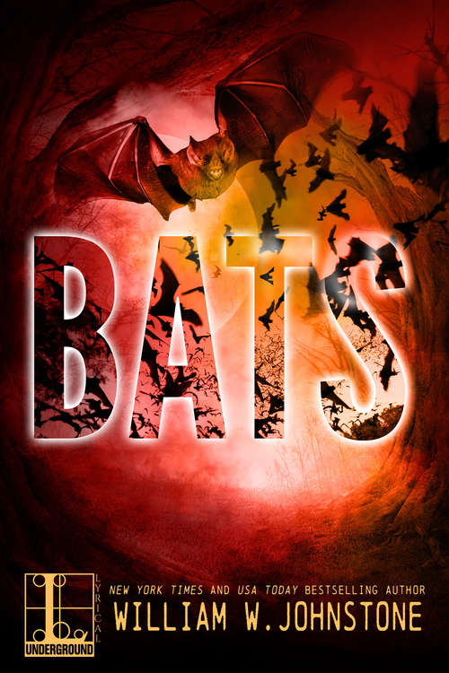 Book cover of Bats