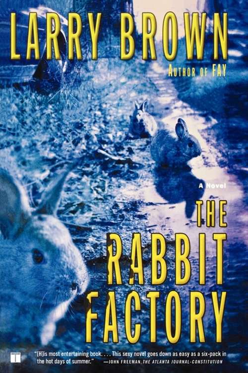 Book cover of The Rabbit Factory