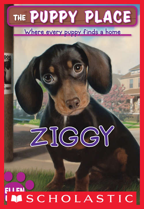 Book cover of The Puppy Place #21: Ziggy