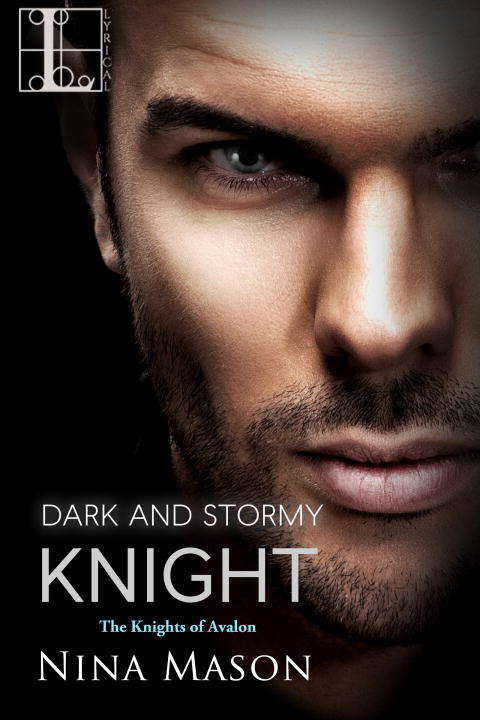 Book cover of Dark and Stormy Knight