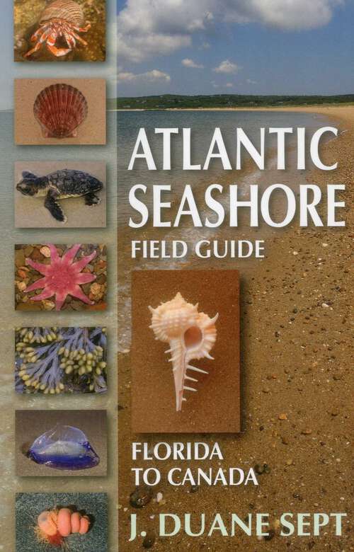 Book cover of Atlantic Seashore Field Guide: Florida to Canada