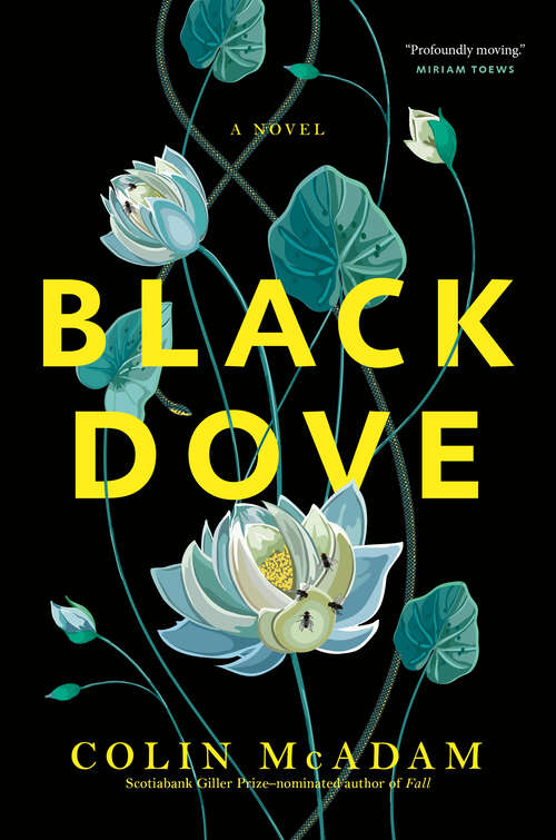 Book cover of Black Dove