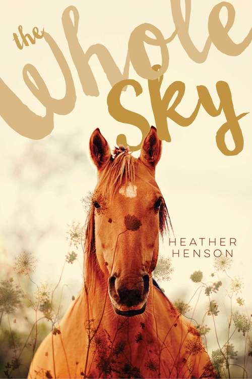 Book cover of The Whole Sky