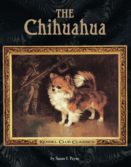 Book cover of The Chihuahua
