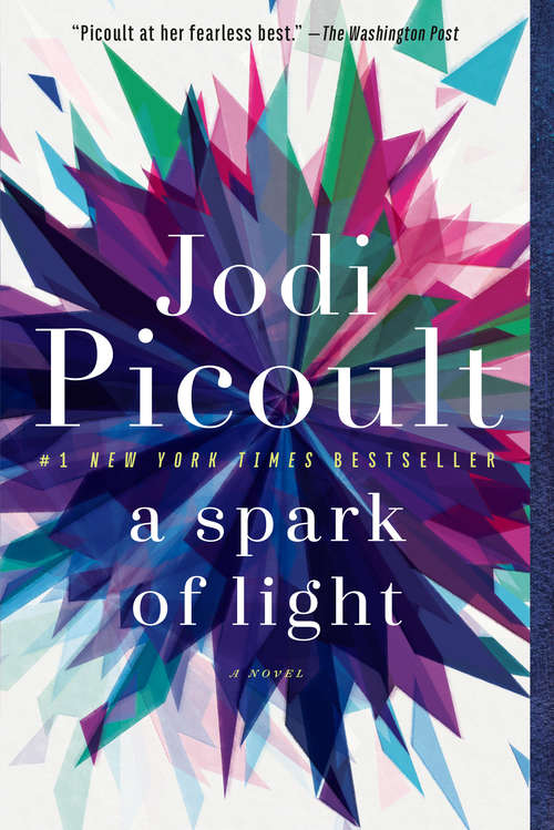 Book cover of A Spark of Light: A Novel