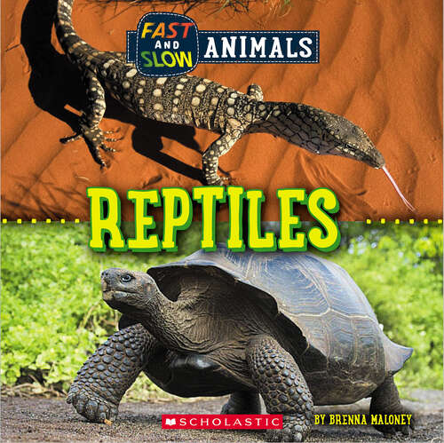 Book cover of Fast and Slow: Reptiles (Wild World)
