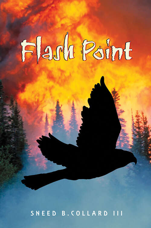 Book cover of Flash Point