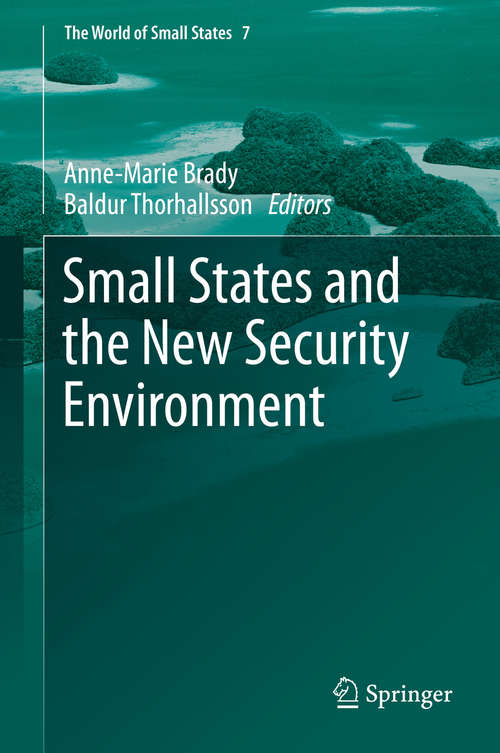 Small States and the New Security Environment (The World of Small States #7)