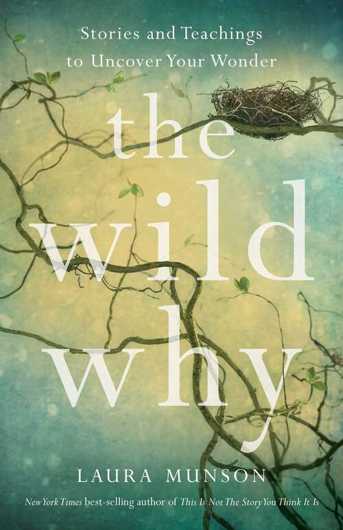 Book cover of The Wild Why: Stories and Teachings to Uncover Your Wonder