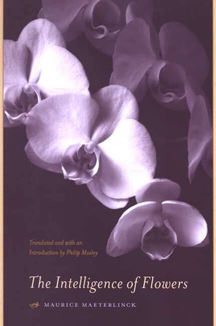 Book cover of The Intelligence of Flowers