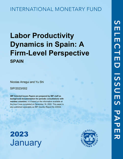 Book cover of Labor Productivity Dynamics in Spain: A Firm-Level Perspective: Spain
