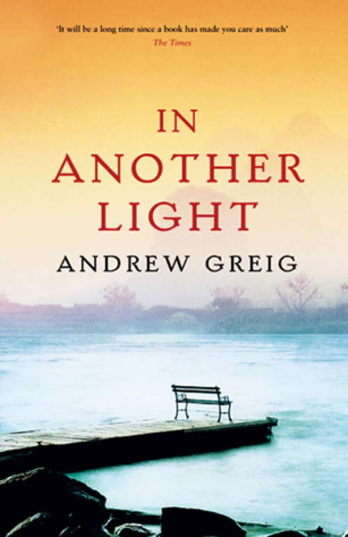 Book cover of In Another Light (Charnwood Ser.)