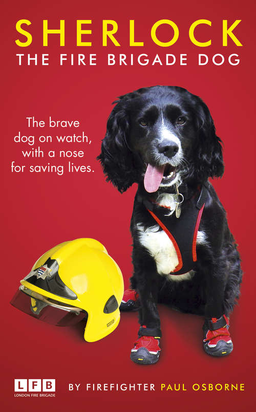 Book cover of Sherlock: The Fire Brigade Dog