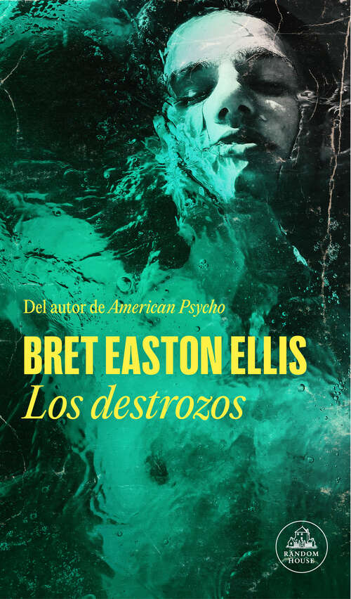 Book cover of Los destrozos