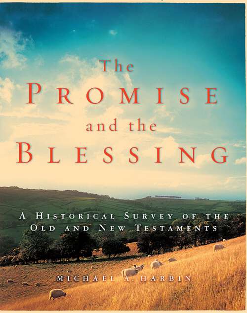 Book cover of The Promise and the Blessing: A Historical Survey of the Old and New Testaments