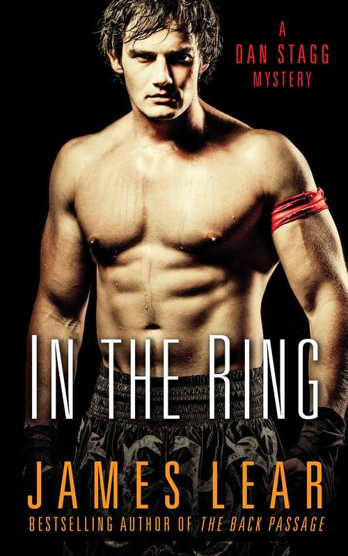 Book cover of In the Ring: A Dan Stagg Mystery