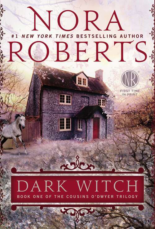 Book cover of Dark Witch (Cousins O'Dwyer Trilogy #1)