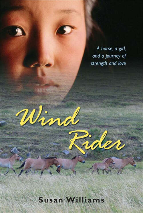 Book cover of Wind Rider