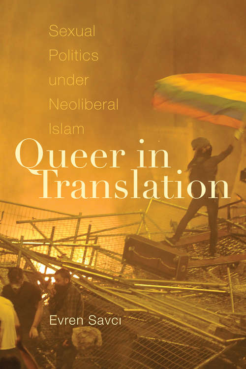 Book cover of Queer in Translation: Sexual Politics under Neoliberal Islam (Perverse Modernities: A Series Edited by Jack Halberstam and Lisa Lowe)