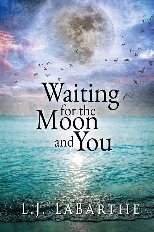 Book cover of Waiting for the Moon and You